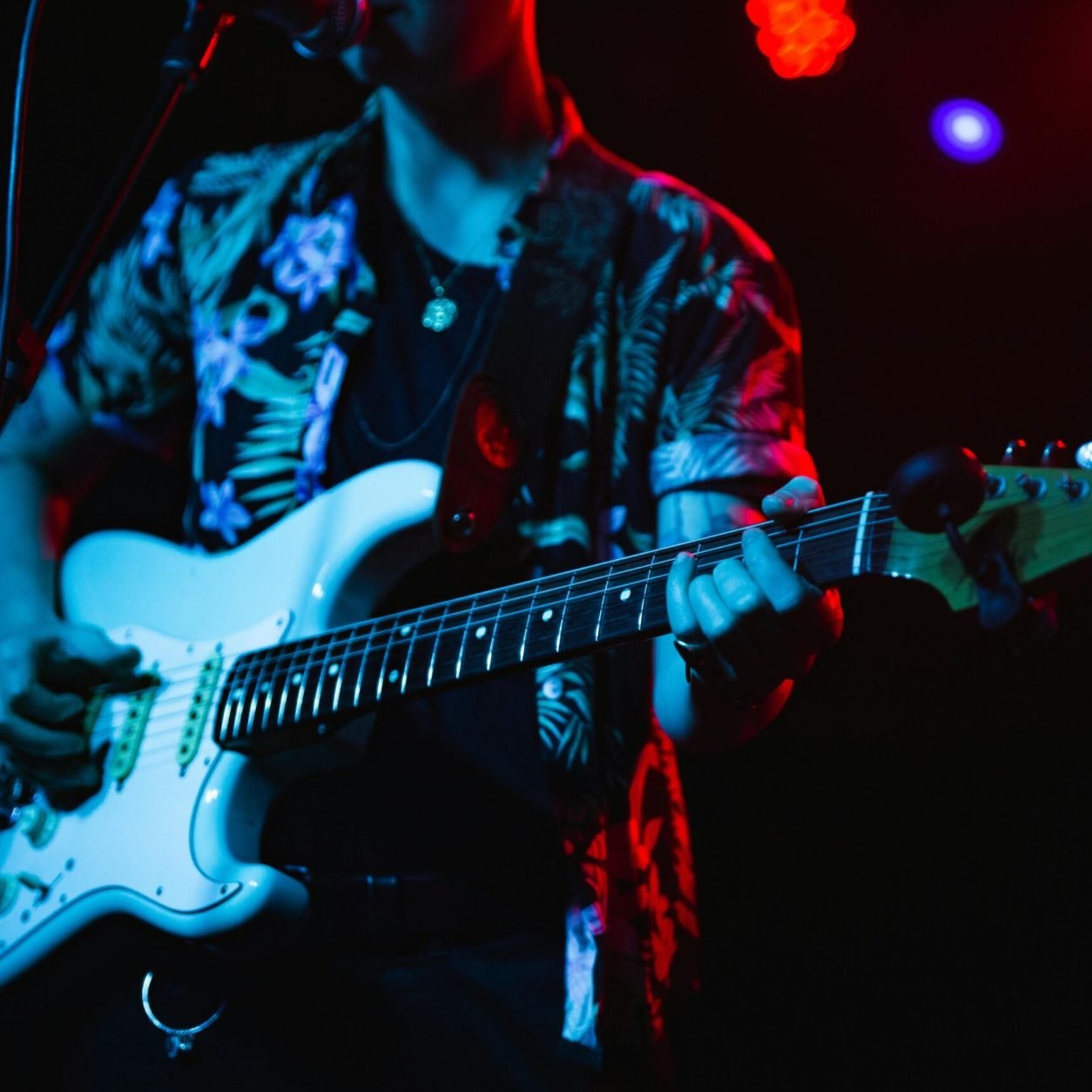 pexels-wendywei-1864637